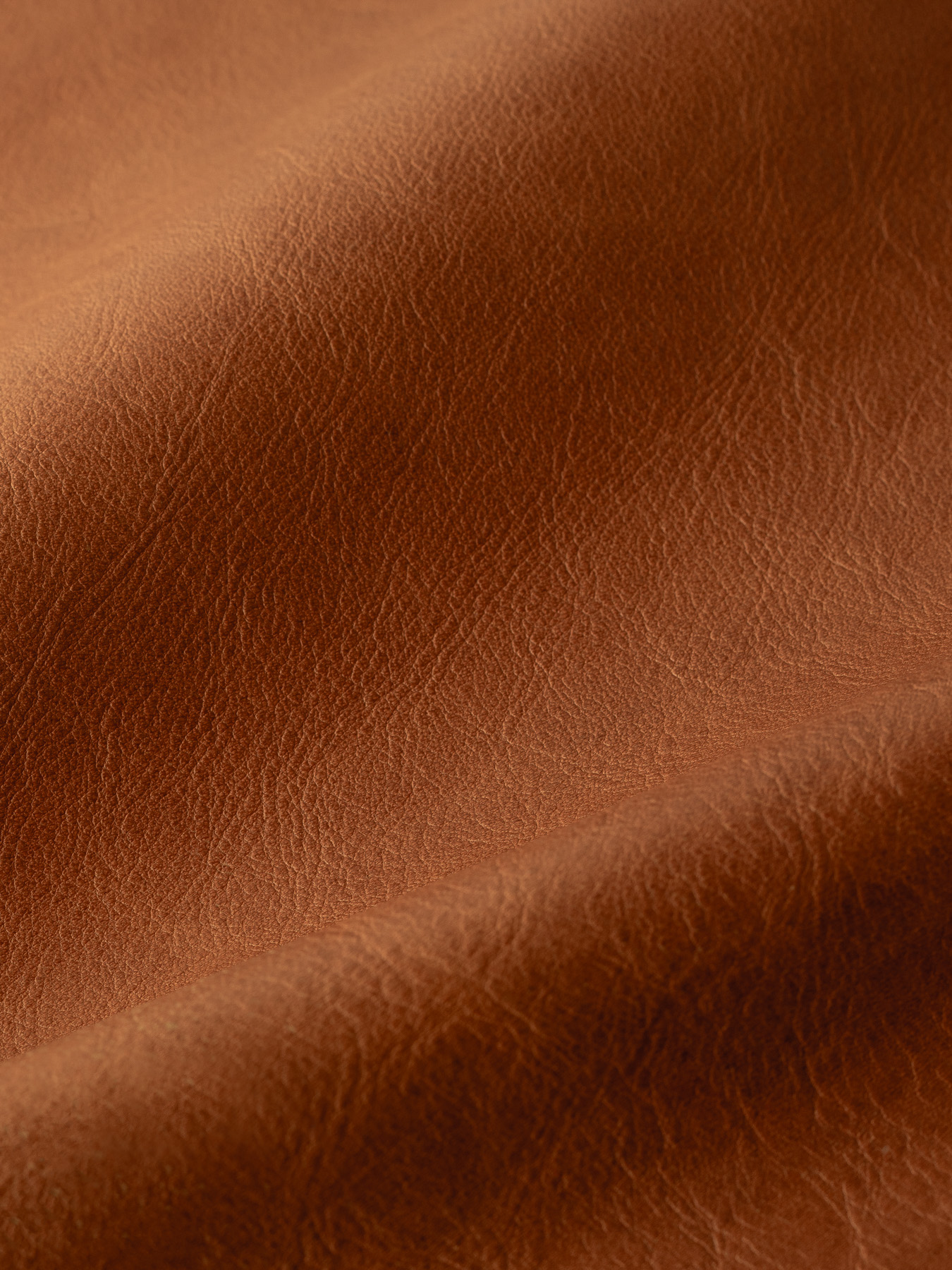 saddle