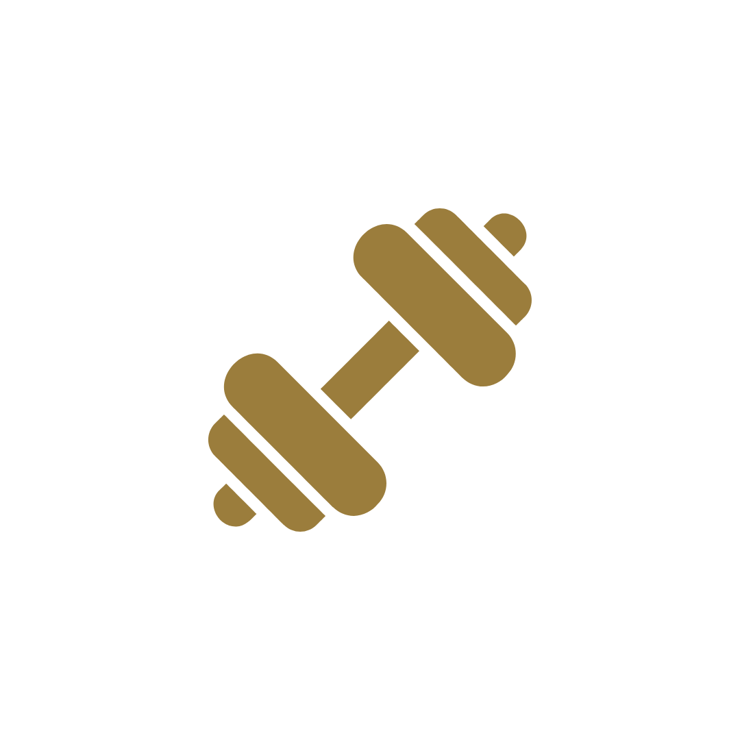 Icon Robust
