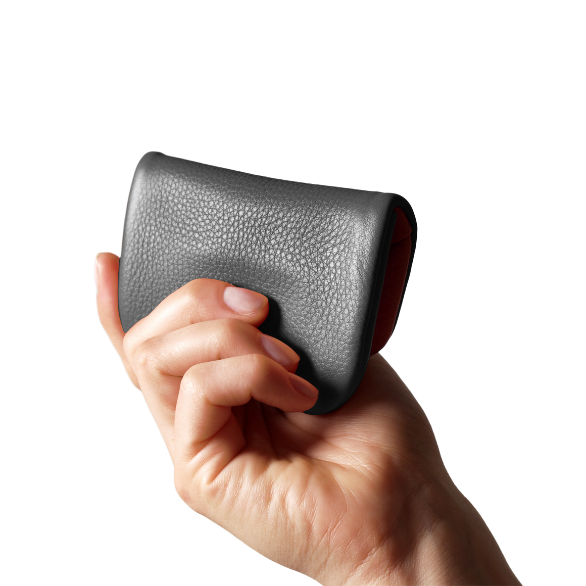 Pago S wallet in Softnappa