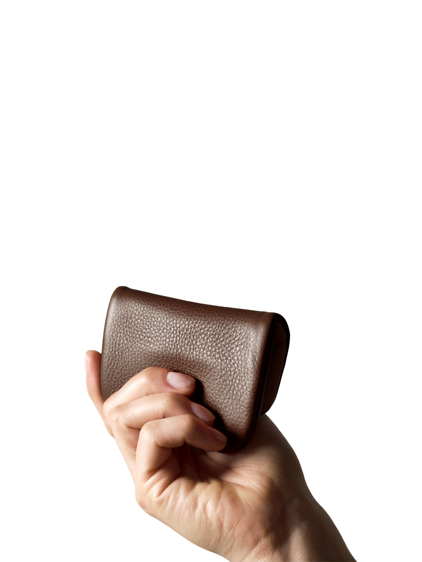 Pago S wallet in Softnappa