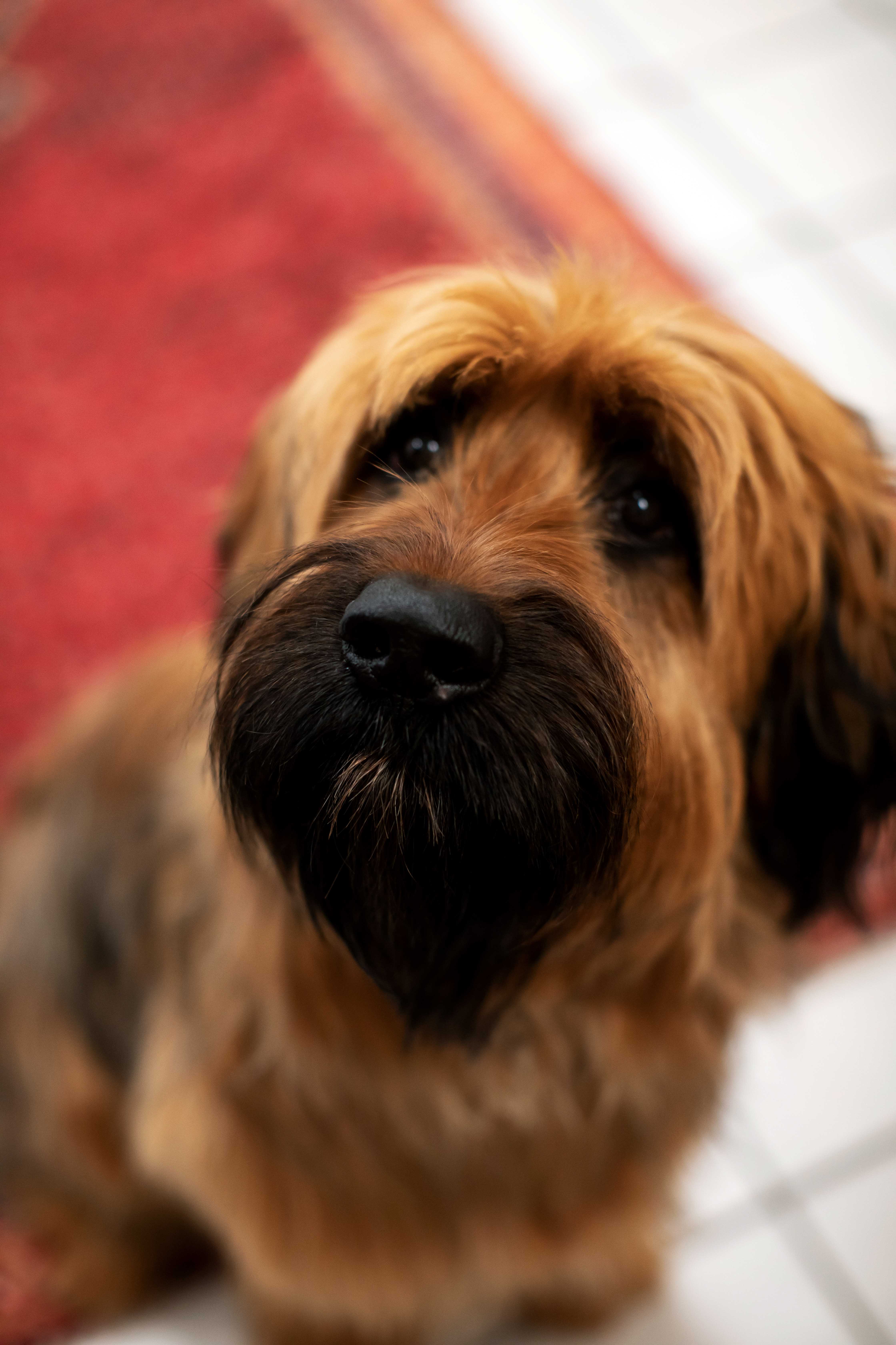 Portrait_Woody_01